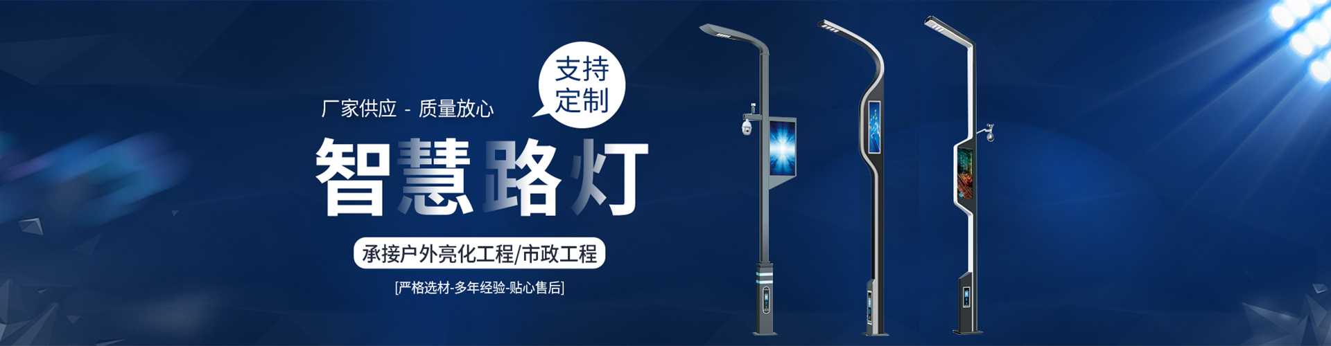 弋江区太阳能路灯定制厂家
