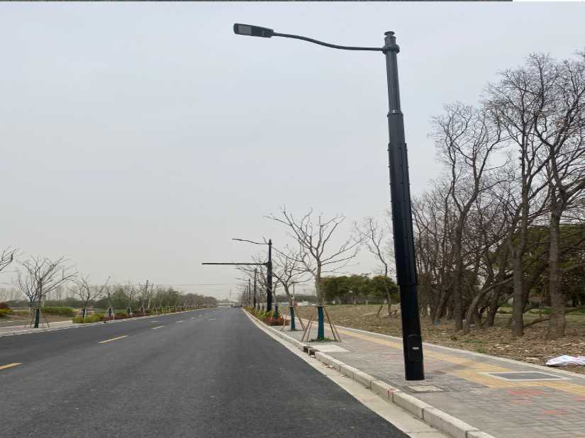 弋江区上海综合杆 太阳能路灯工程